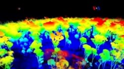 Escáner 3D para bosques