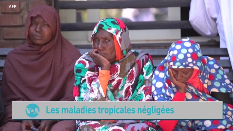 Carnet de santé: les maladies tropicales négligées