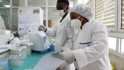 L'institut Pasteur de Dakar entend produire 300 millions de vaccins par an