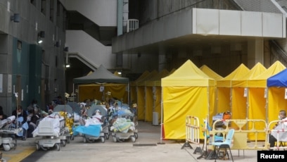 19 cases hong kong covid Hong Kong: