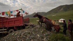 བོད་ནང་བཙན་དབང་གིས་གཞིས་སྤོས་བྱེད་བཅུག་གི་ཡོད་པའི་སྐོར་གྱི་སྙན་ཐོ། 