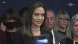 «Տգեղ ճշմարտությունն այն է, որ մեր երկրում ընտանեկան բռնությունը նորմալացված է», - ասում է կինոաստղ Անջելինա Ջոլին