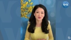 Chính sách thu hút nhân tài của luật di trú Mỹ
