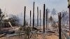 စစ်ကောင်စီနယ်မြေရှင်းနေတဲ့ မင်းကင်းမြို့နယ်က  ရွာနှစ်ရွာ မီးရှို့ခံရ၊ အိမ် ၃၀၀ ကျော်လောင်ကျွမ်း