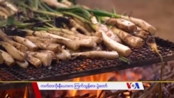 ကက္တလိုးနီးယားက ၾကက္သြန္စား ပြဲေတာ္