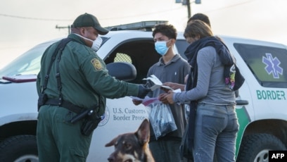 can you take dogs across the us border