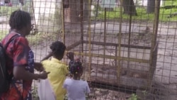 A Kinshasa, le jardin zoologique se refait la façade