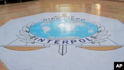 Interpol Election