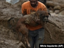 A man carries a dog away from a residential area destroyed by mudslides in Petropolis, Brazil, Wednesday, Feb. 16, 2022.