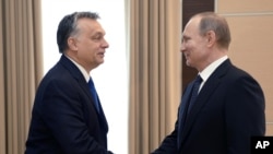 Премьер-министр Венгрии Виктор Орбан на встрече с Владимиром Путиным