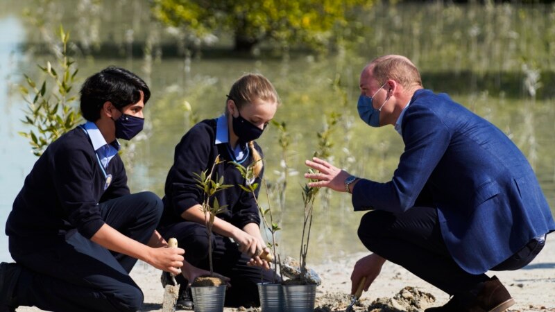 Pangeran William Tanam Pohon di Hutan Bakau Abu Dhabi