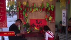 Đi tìm sự bình an đầu xuân
