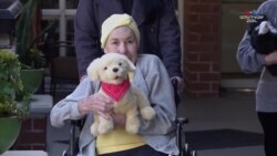 Ռոբոտային ընտանի կենդանիներն օգնում են տարեց անձանց