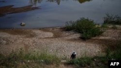 FILE - This Oct. 31, 2019, photo shows a fisherwoman walking on an embankment of the drought-stricken Mekong river in Pak Chom district in the northeastern Thai province of Loei. 