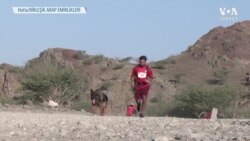 Hatta Dağlarında Köpek Dostlarıyla Birlikte Yarıştılar 
