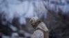 A Ukrainian serviceman provides area security during a visit by Gen. Oleksandr Pavliuk, commander of the Joint Forces Operation, to frontline positions outside Avdiivka, Donetsk region, eastern Ukraine, Feb. 9, 2022. 