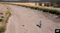 In this file photo, Matt Lisignoli walks through an irrigation canal that ran dry in early August after the North Unit Irrigation District exhausted its allocated water on Sept. 1, 2021, near Madras, Oregon. (AP Photo/Nathan Howard, File)
