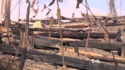 Rural Cambodians Angry Over Massive Logging Operations