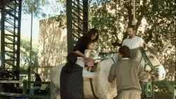 Terapia me kuaj ndihmon fëmijët me çrregullime neurologjike