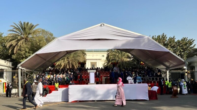 Avec primes, honneurs et titres fonciers, le Sénégal honore les champions d'Afrique