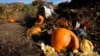 Sampah makanan di pusat kompos Anaerobic Composter Facility di Woodland, California, 30 November 2021. (Foto: Rich Pedroncelli/AP Photo)