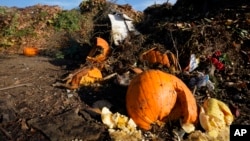 Sampah makanan di pusat kompos Anaerobic Composter Facility di Woodland, California, 30 November 2021. (Foto: Rich Pedroncelli/AP Photo)