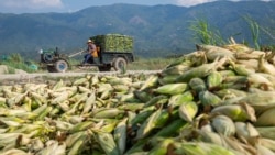  À Votre Avis: l'agriculture en Afrique