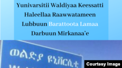 Yunivarsitii Waldiyaa Keessatti Haleellaa Raawwatameen Lubbuun Barattoota Lamaa Darbuun Mirkanaa’e