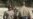 16x9 Image