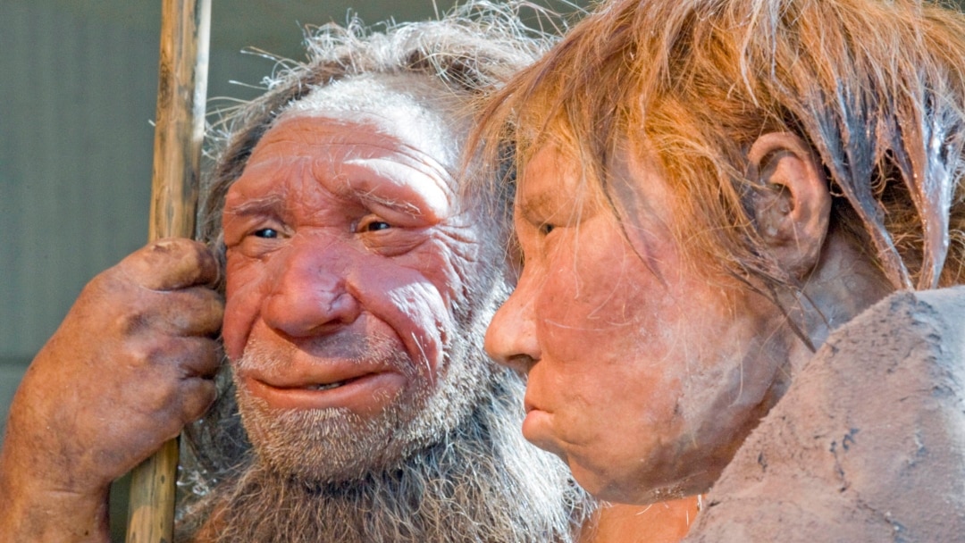 Extinct Human Ancestors Have Impact on Our Health Today