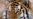 Asian Officials Extend Lifeline For Wild Tigers
