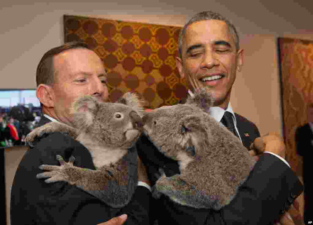 Presiden AS Barack Obama, kanan, dan Perdana Menteri Australia Tony Abbott memeluk koala untuk foto di KTT G-20 di Brisbane, Australia, 15 November 2014.