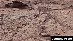 This view shows the patch of veined, flat-lying rock selected as the first drilling site for NASA's Mars rover Curiosity. (Courtesy: NASA)