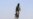 France Says No Hostage Demands from Al-Qaida