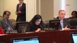Venezuela en la mira de la OEA