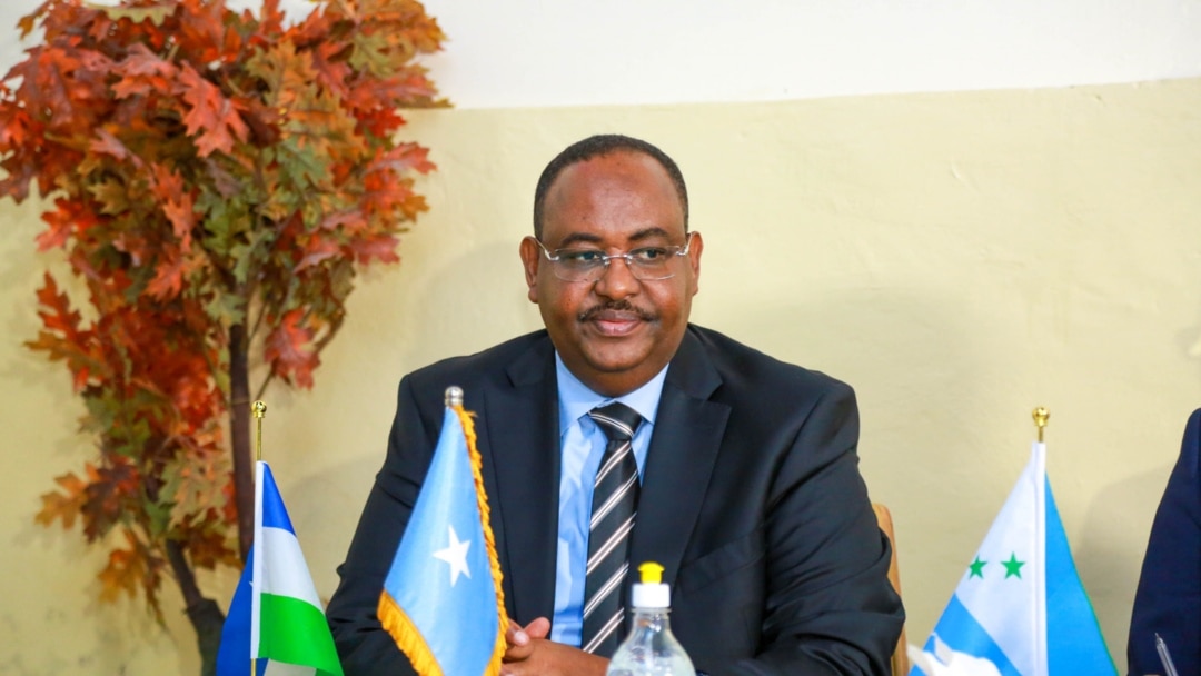 HD formatda mushukchalar suratlari Strategy kompaniyasining haqiqiy teridan tikilgan ayollarning tizzadan yuqori botinkalari