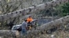 A crew cuts a tree that fell on a Taco Bell restaurant Nov. 20, 2024, in Issaquah, Wash., after a "bomb cyclone" brought high winds to the area.