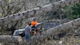 A crew cuts a tree that fell on a Taco Bell restaurant Nov. 20, 2024, in Issaquah, Wash., after a "bomb cyclone" brought high winds to the area.