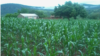 Harare Residents Trust Yoronga Kusangana naMeya weHarare Pamusoro peKudzuriswa Chibage kweVagari