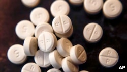 FILE - Pills of oxycodone, a opioid painkiller, are seen. 