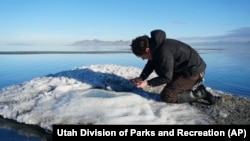 In this undated photo provided by the Utah Division of Parks and Recreation, are rare salt formations that are being are being documented for the first time along the shores of the Great Salt Lake in Utah.