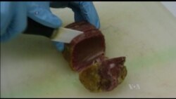 Bluefin Tuna Safer to Eat Thanks to Anti-pollution Efforts