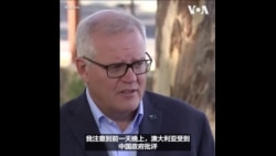  澳大利亚敦促中国在乌克兰问题上发声 