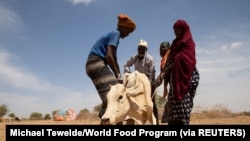 Los residentes intentan ayudar a una vaca afectada por la sequía en el distrito de Adadle, Biyolow Kebele en la región somalí de Etiopía, en esta fotografía de archivo proporcionada por el programa Mundial de Alimentos a Reuters.