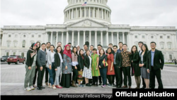  Professional Fellows Program 