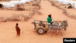 Wasu Mutane Akan Amalanke Somaliya