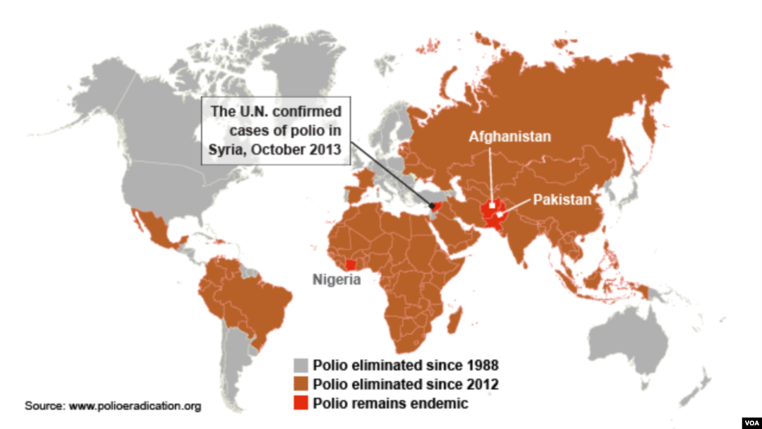 Cases of Polio Worldwide