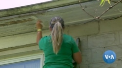 Teenagers Doing Free Home Repairs for People in Need