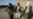 Taliban Tolak Pembicaraan Damai dengan Pemerintah Afghanistan