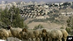 En la imagen, un asentamiento judío al este de Jerusalén.